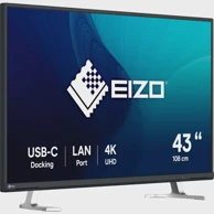 EIZO LED monitor EV4340X-BK, 42.5", UltraHD/4K, crni